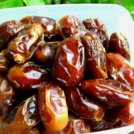 

Kurma Terbaru - Kurma Khalas 10Kg Grosir
