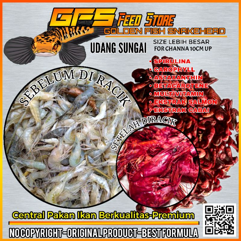 Udang Setan Red 30 Gram Pakan Channa Kontes