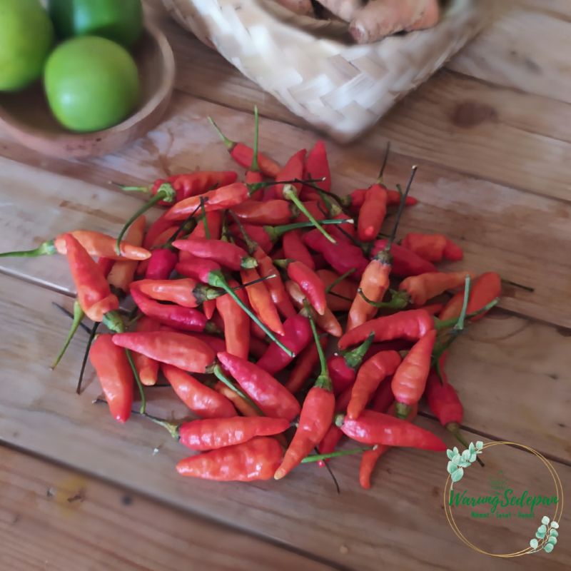 

Cabe Jablay Segar 250 gr Cabe Rawit Jablai Super Pedas Sayur Murah Cikarang Sembako Murah