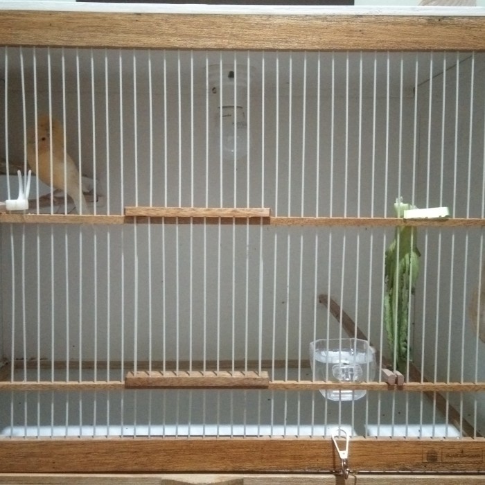 Box/kandang ternak kenari bongkar pasang, kandang kayu.