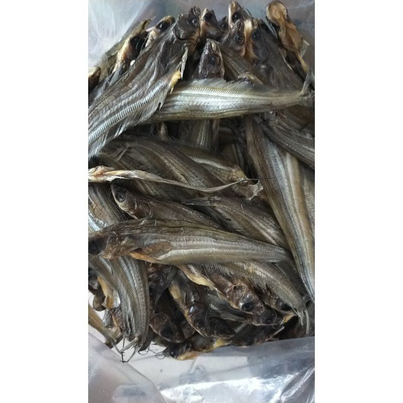 

IKAN ASIN LAIS MURAH (100gr)