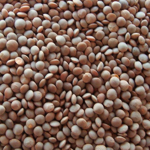 

Brown Lentils 5kg / Kacang Lentil Coklat 5kg