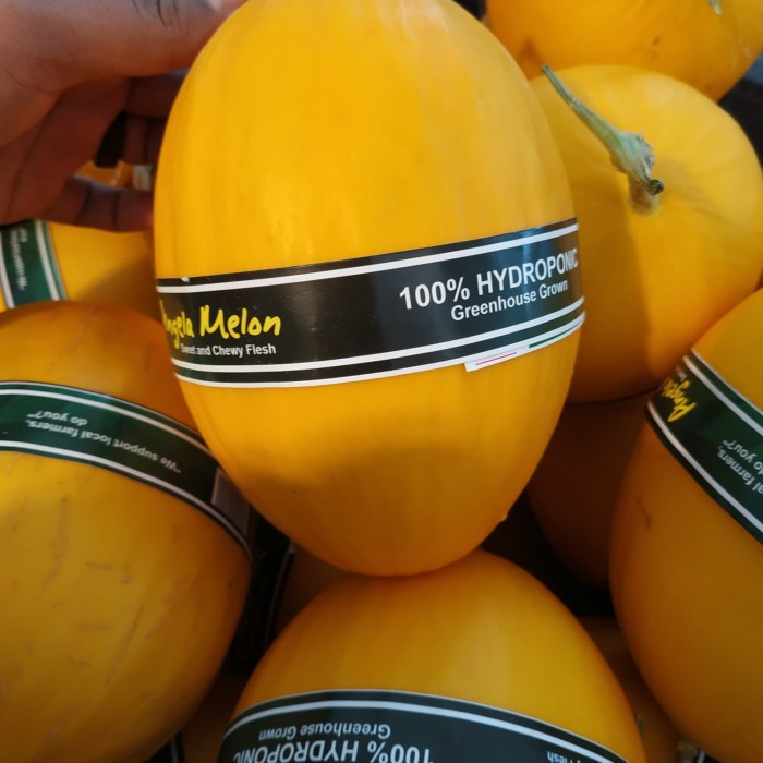 

Melon Angela 100% Hydroponic -+1.7 kg