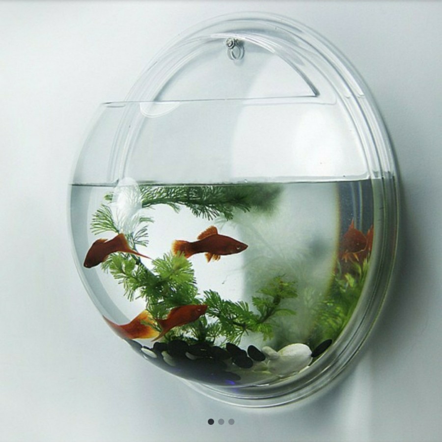 Aquarium Tempel Aquarium Dinding Aquarium Tembok Shopee Indonesia Aquarium tempel di tembok