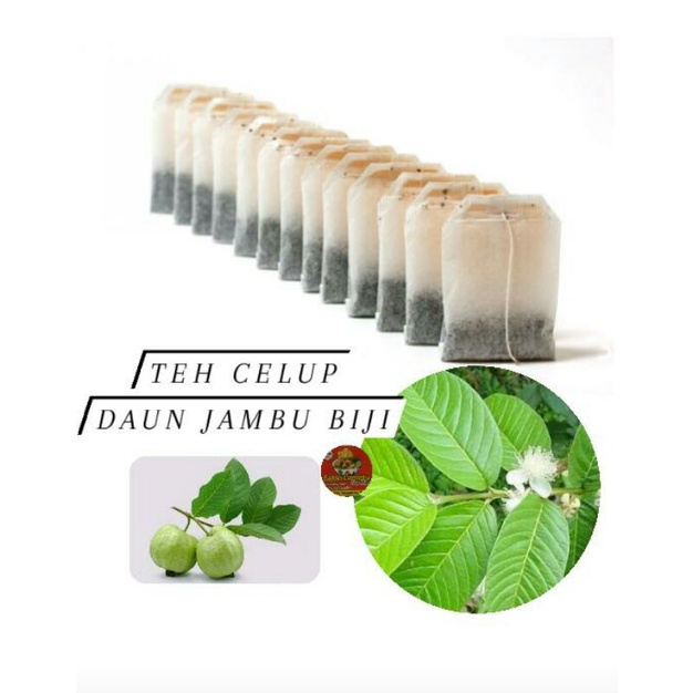 

Teh celup daun jambu biji Original isi 20 pcs , teh jambu biji alami , teh , jambu , daun jambu biji , biji , bibit , jambu , herbal , alami , obat sakit perut , obat diare , benih , jamu herbal , jamu alam , apoteker , daun , serbuk , daun,secang,katemas