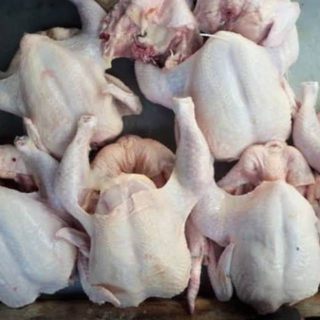 

AYAM BROILER/NEGERI/PEDAGING