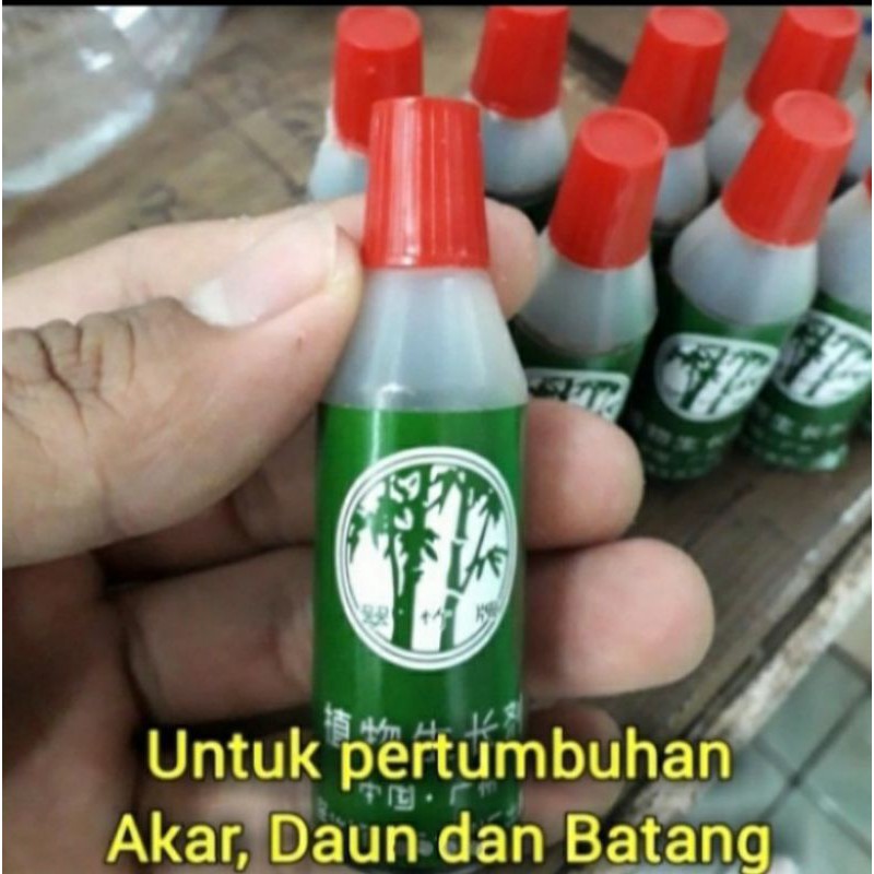 pupuk cair bambu ijo zat percepat pertumbuhan tanaman