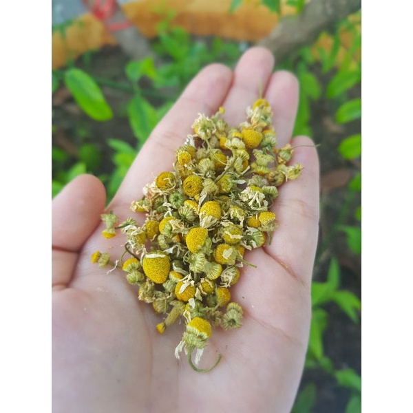

TEH BUNGA PREMIUM / TEA / CHAMOMILE