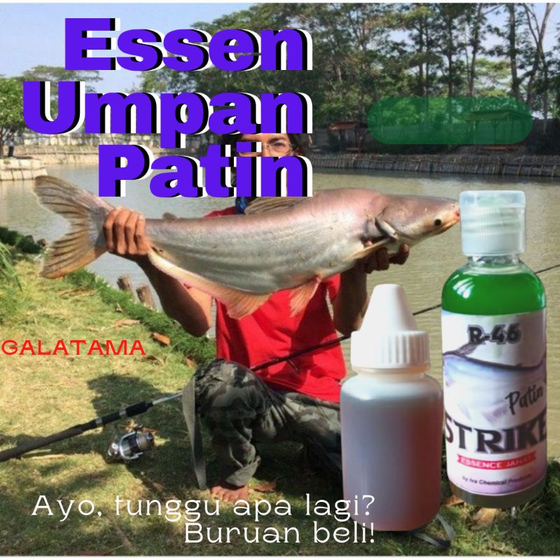 Essen Patin Umpan ikan Patin Mancing Galatama pancing Kolam Indukan