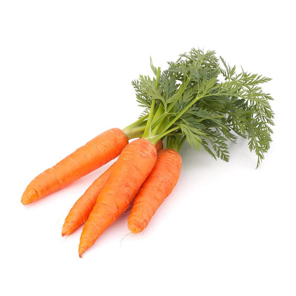 Bibit Benih Biji Sayur Wortel Kuroda - Benih Tanaman Pohon Sayuran Wortel - Bibit Sayur Wortel - COD