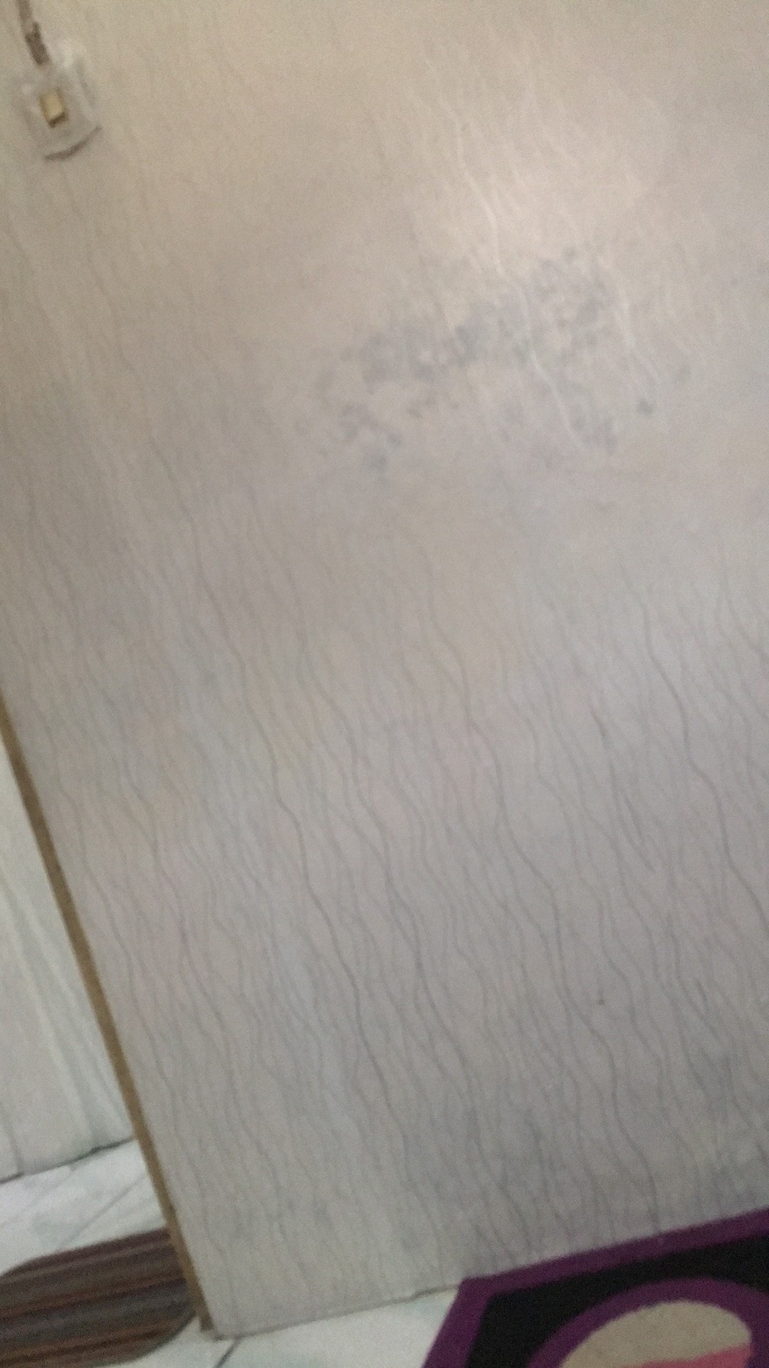 Devided Lunch Box - Cool Teen (1 Pcs) Kotak Makan Tupwr