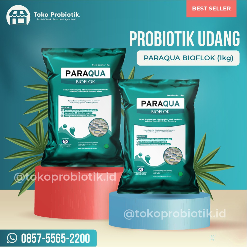 Jual PROBIOTIK UDANG PARAQUA BIOFLOK UNTUK BUDIDAYA UDANG SISTEM ...