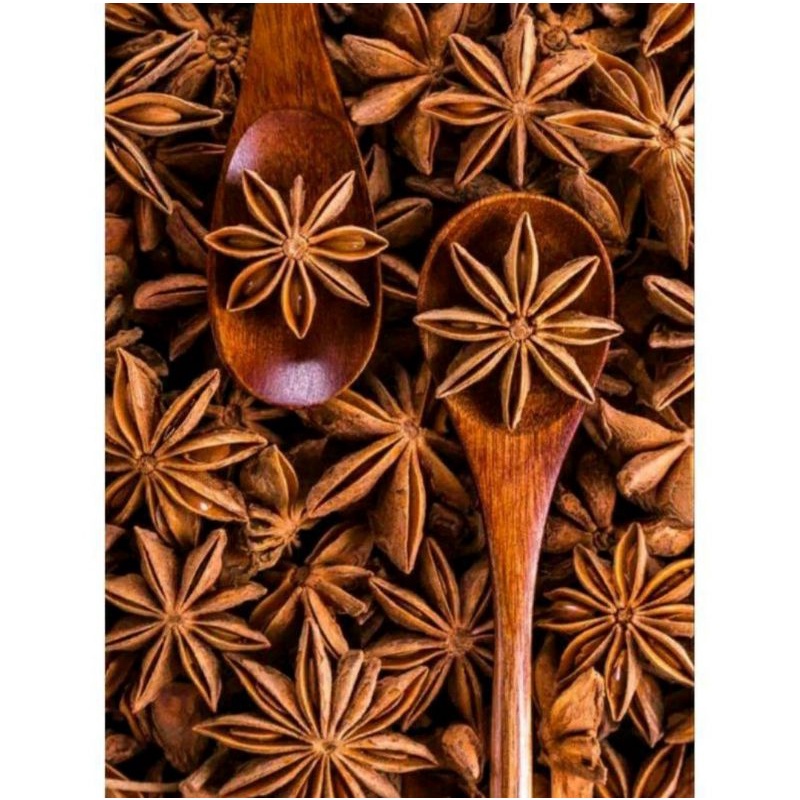 

Bunga lawang/peka star aniseds