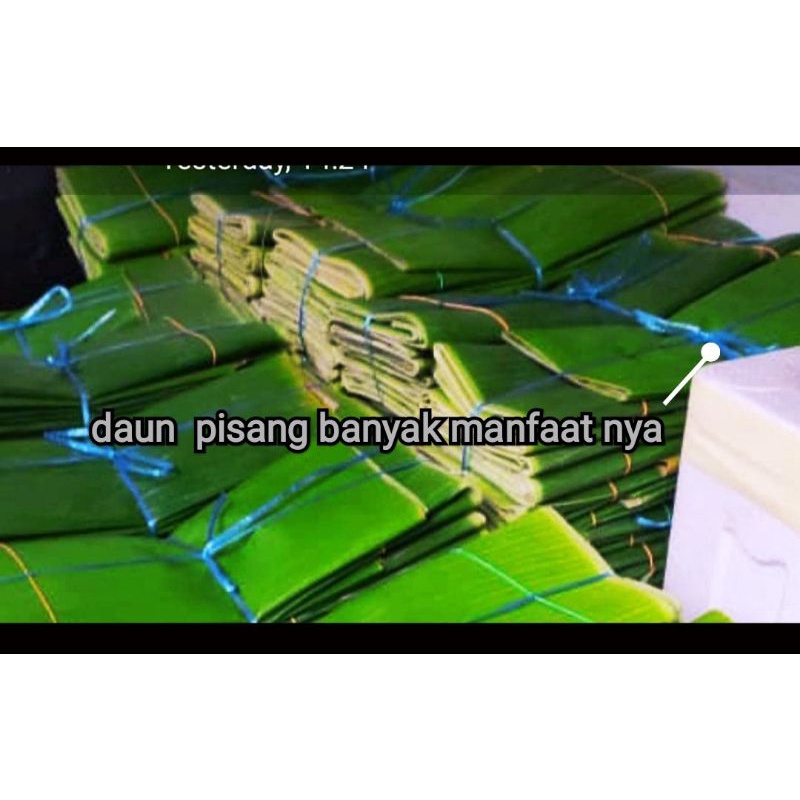 

Daunpisang