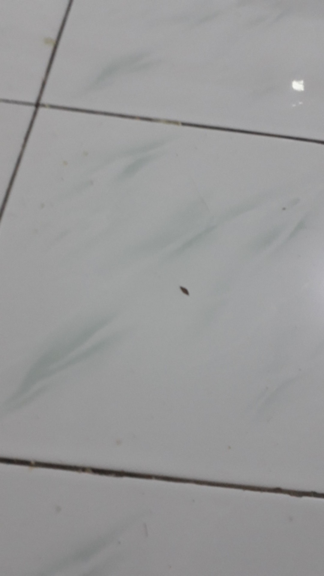 [model Baru] Gamis Maxi Keila/ S-m,l,xl,xxl, Xxxl / Brukat Premium/ Seragam/ Kondangan