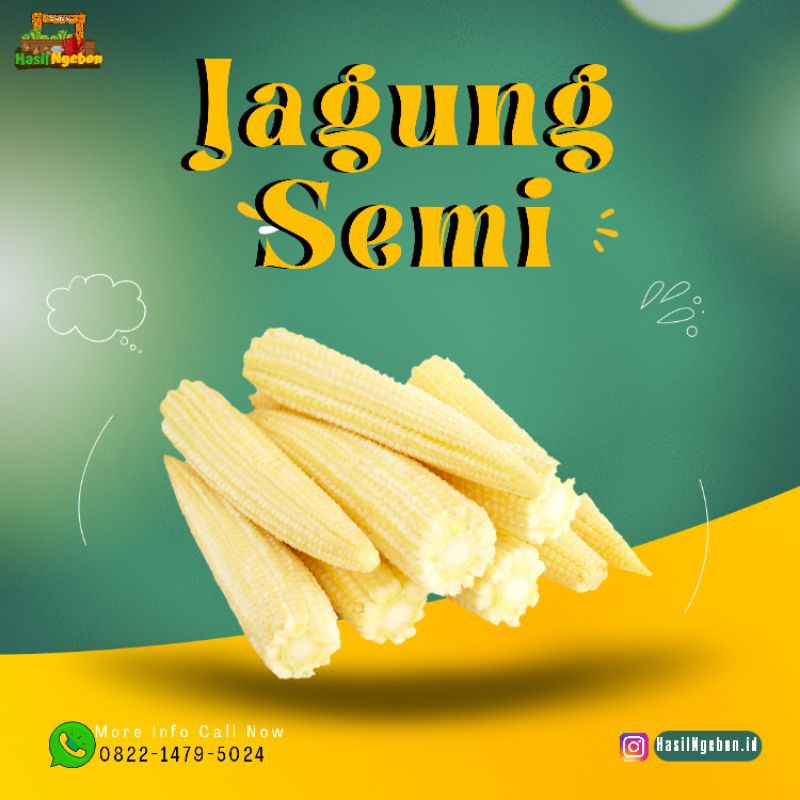 

JAGUNG SEMI ATAU BABY CORN 250GR