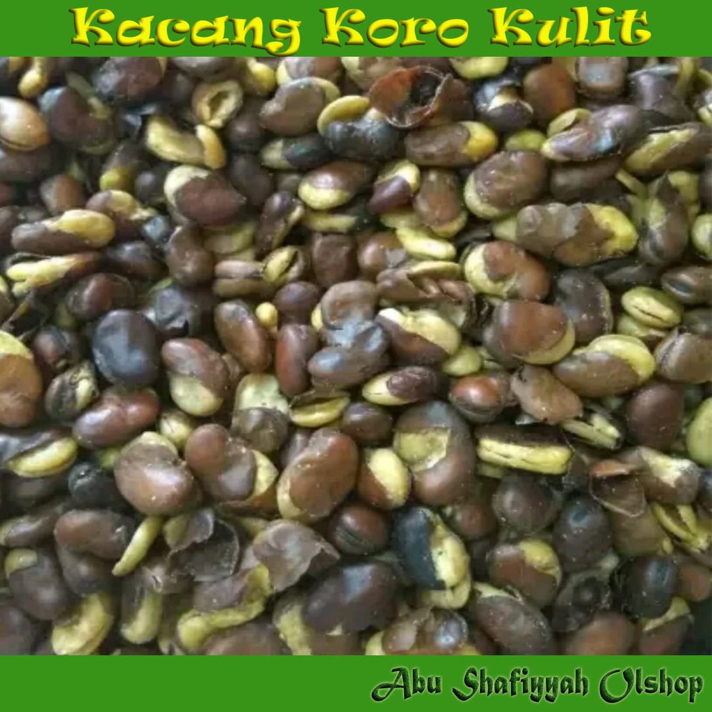 

Kacang Koro Kulit
