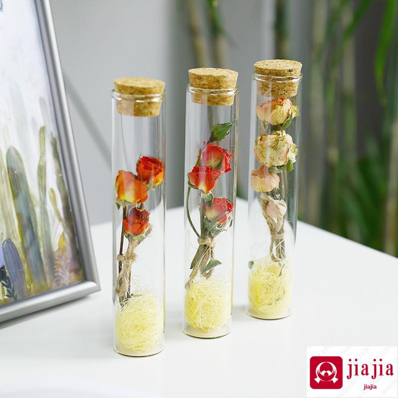 Gypsophila bunga abadi Dekorasi  eucalyptus kaca tabung 