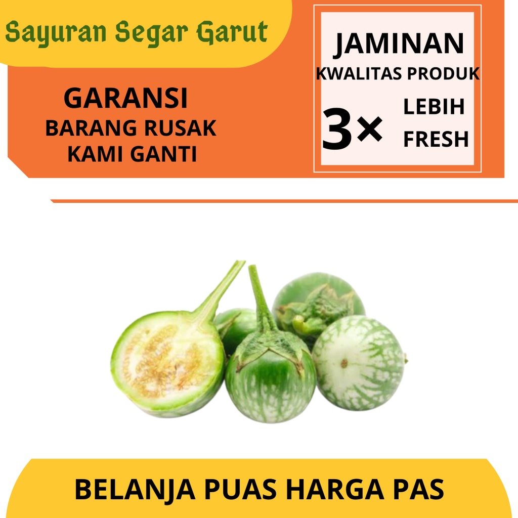 

Terong Lalap Bulat Hijau Super Segar Fresh 250gr by Sayuran Segar Garut