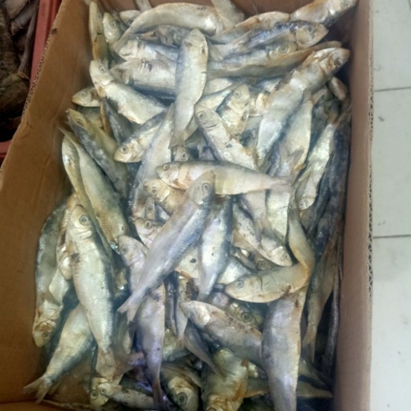 

Ikan Asin Tembang 250 gr