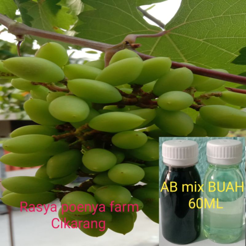 Nutrisi ab mix cair/Nutrisi buah/nutrisi hidroponik 70ml