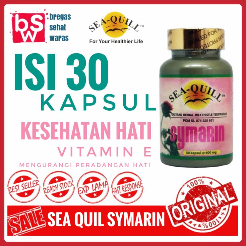 Sea Quill Symarin, Seaquill, ganguan Hati, Hepatitis, Detok, Radang Ginjal, Antioksidan