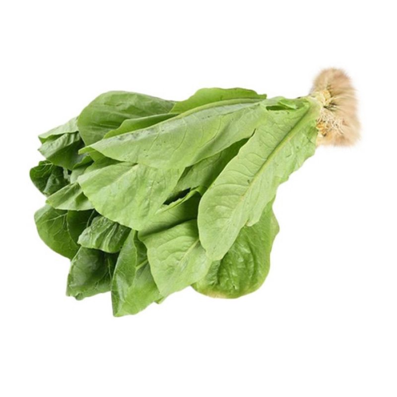 

ROMAINE HYDROPONIK 200GR