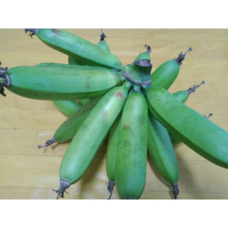 

Pisang Goroho Super