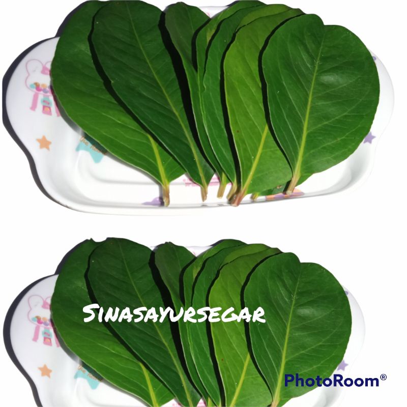 

Daun salam 1pack