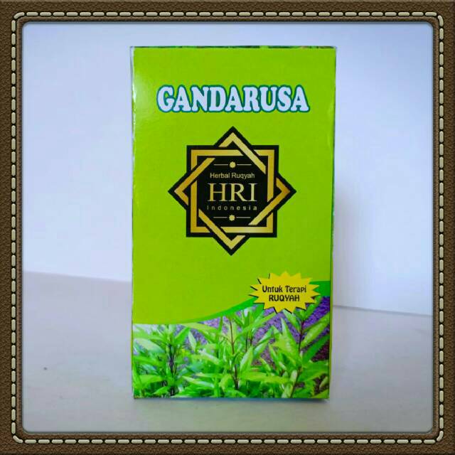 Kapsul gandarusa herbal hri