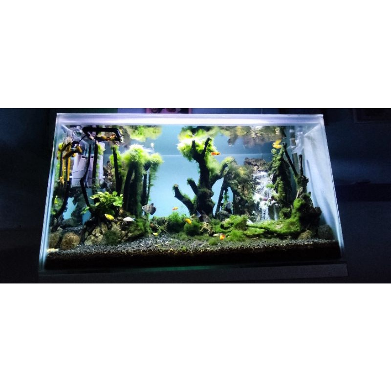 aquarium full set