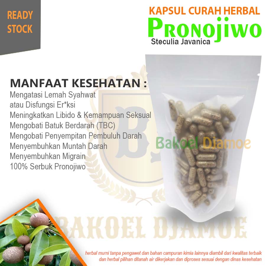 

Kapsul curah herbal pronojiwo kapsul herbal libido vitalitas lemah syahwat migrain tbc