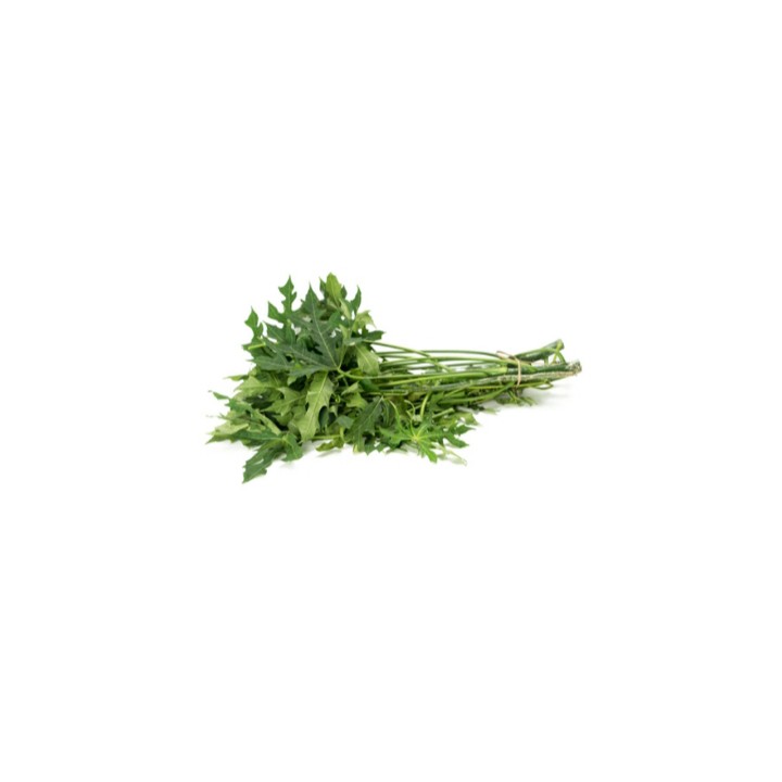 

Daun Pepaya Segar per 100gr - Sayur Segar
