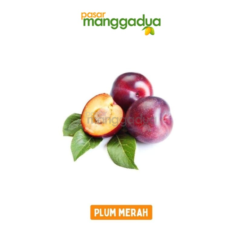 

FRESH !!! Plum Merah 500 Gram / Buah Segar