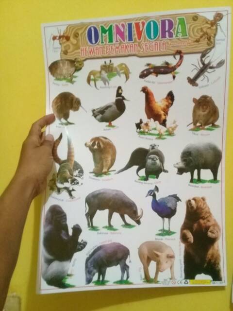 Poster Binatang Poster Binatang Buas Poster Binatang Jinak Poster