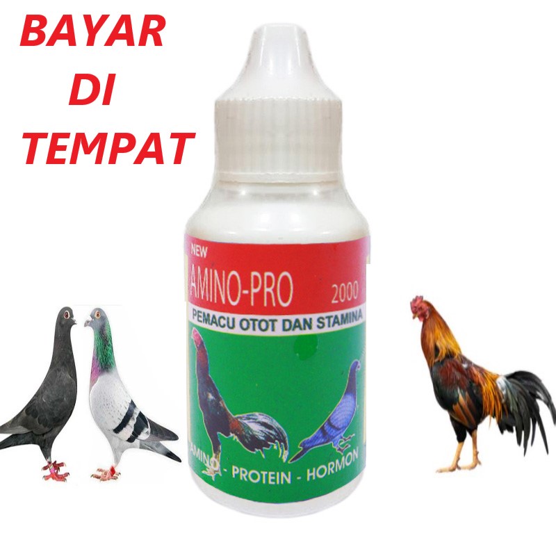 VITAMIN  SUPLEMEN AYAM JAGO BURUNG DARA MERPATI -  AMINO PRO