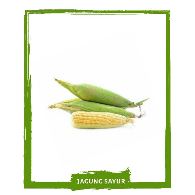 

Jagung Sayur Kupas/ Sayur Sayuran Segar By Mallahrizwa