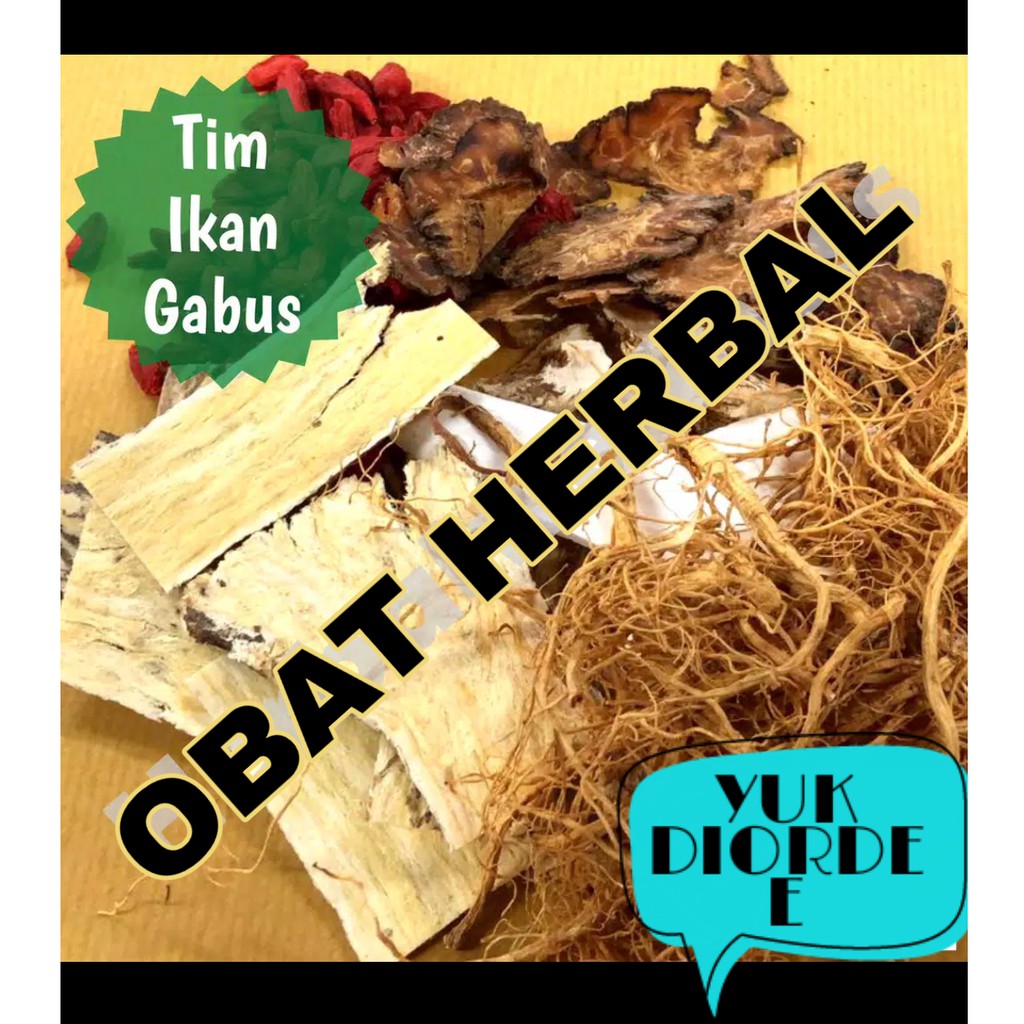 

RAMUAN TIM IKAN GABUS - Essence of Fish Sari Pati Ikan