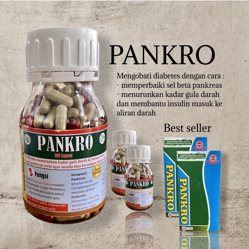 PANKRO 180 kapsul Obat Herbal Diabetes Alami