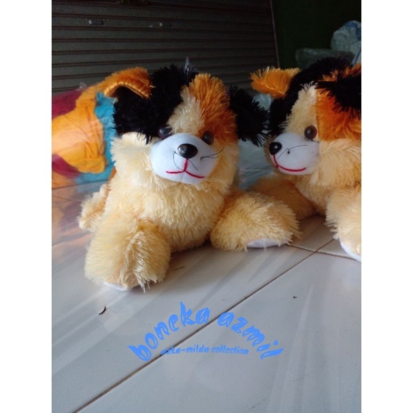 Boneka kucing lucu Persia size l