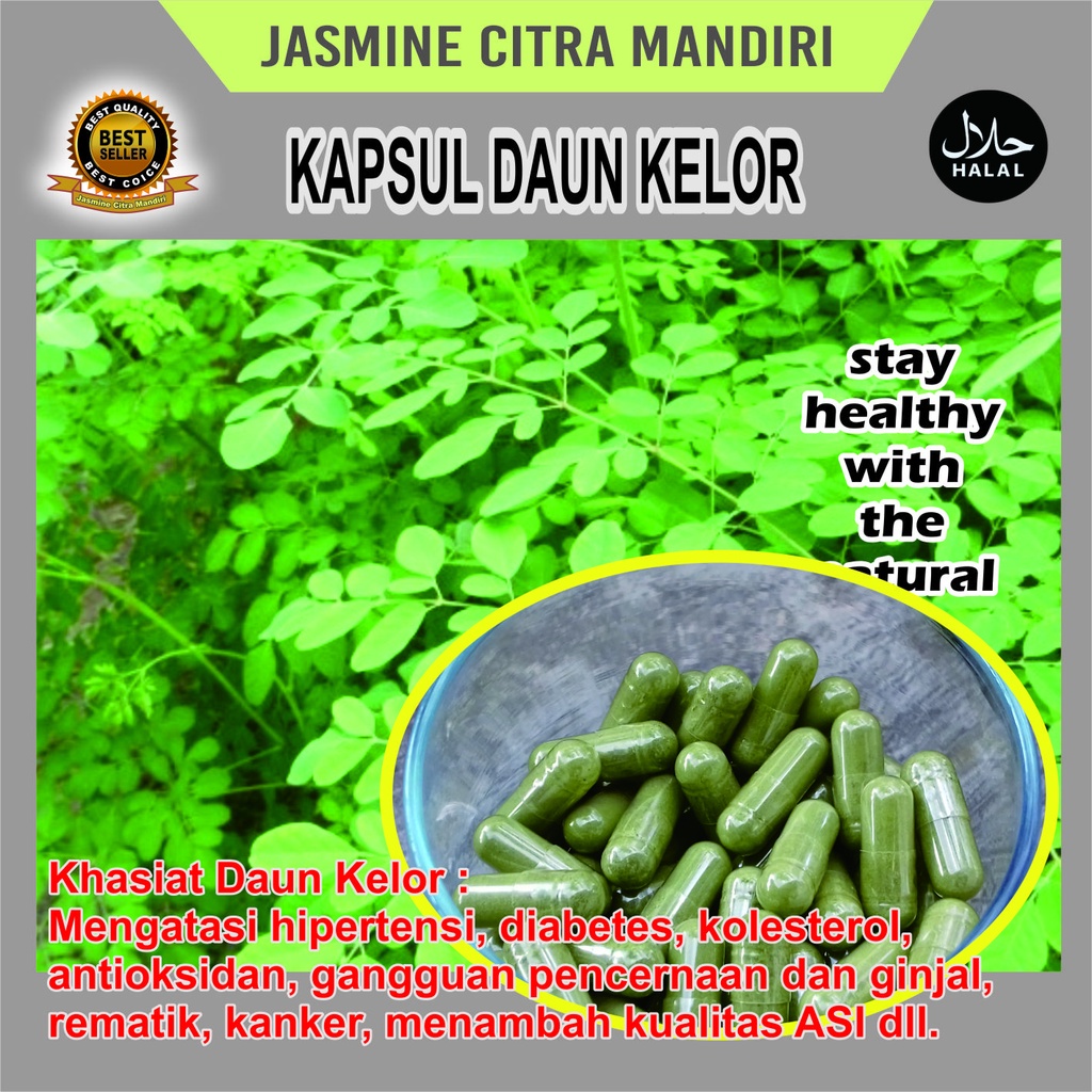 

Kapsul Daun Kelor Anti Diabetes Kolesterol