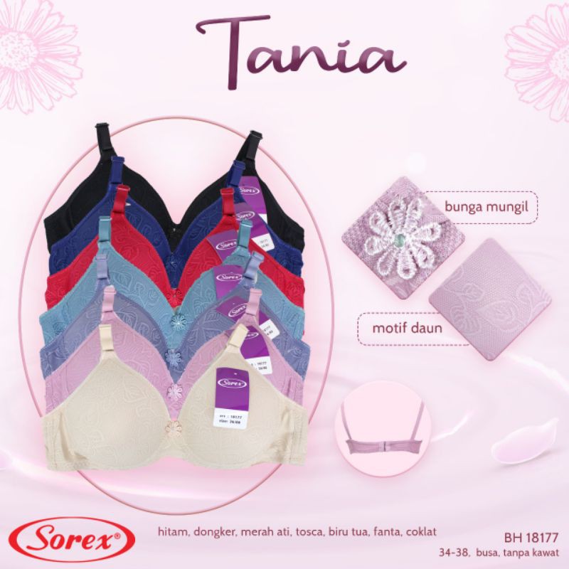 grosir bra sorex new edition 33493 busa tipis tanpa kawat