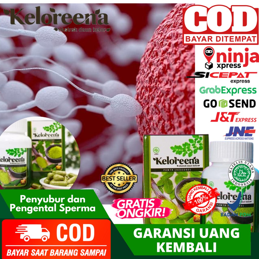Obat Penyubur Sperma - Obat Pria Mandul - Obat Pengental Sperma - Penambah Sperma - Keloreena - COD