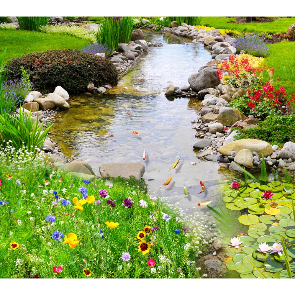 3D Wallpaper -13753729-Koi