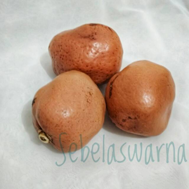 

Paket zuriat isi 3 buah asli Mesir