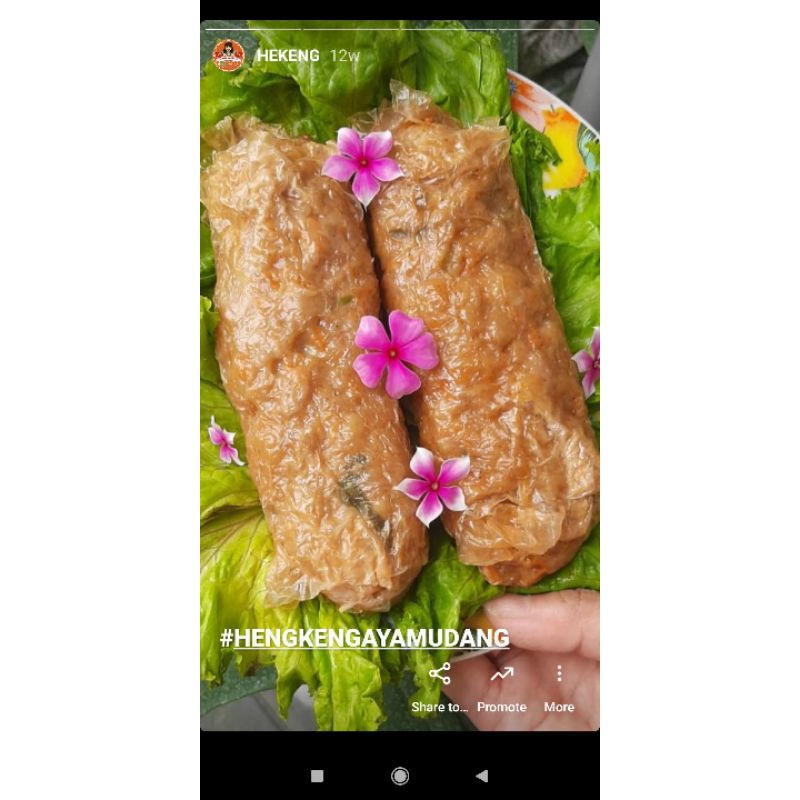 

Hekeng Ayam udang halal 2 pcs