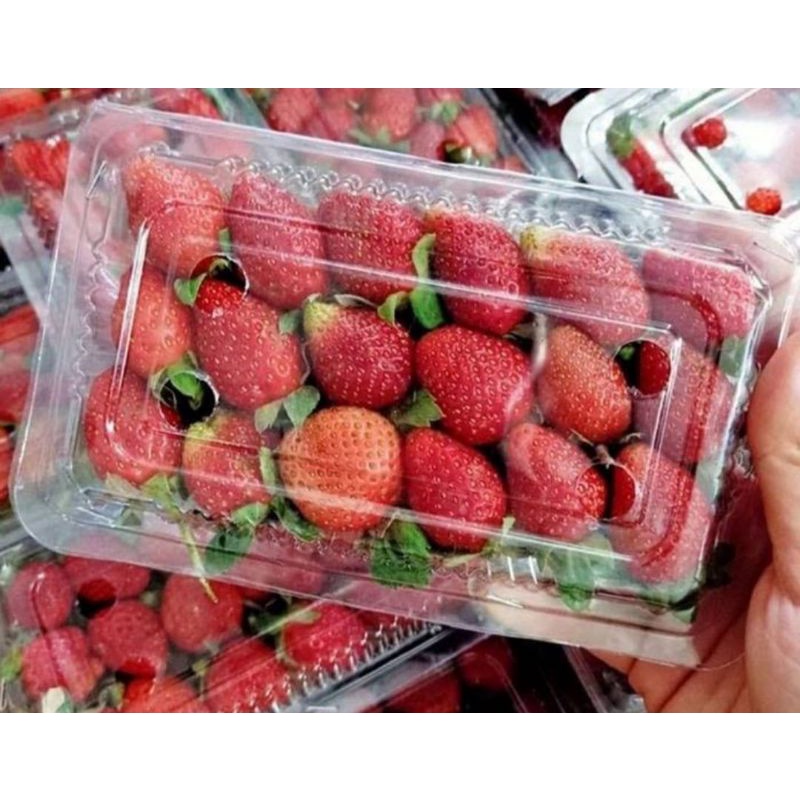 

Buah Strawberry