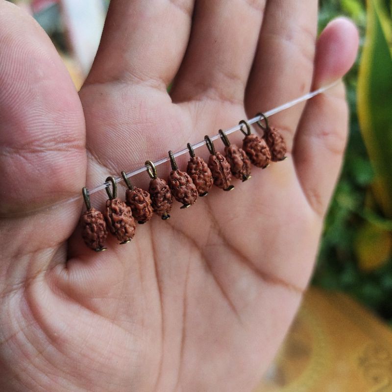 Liontin Jenitri Mukhi 2 Atau Rudraksha Garis 2