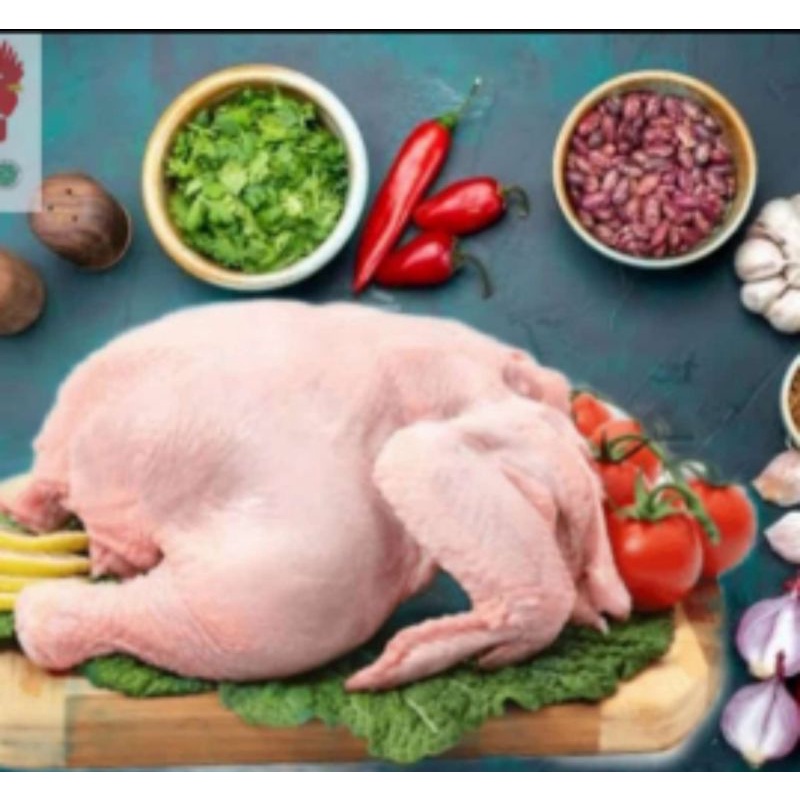 

Ayam broiler utuh 900_1000 gr