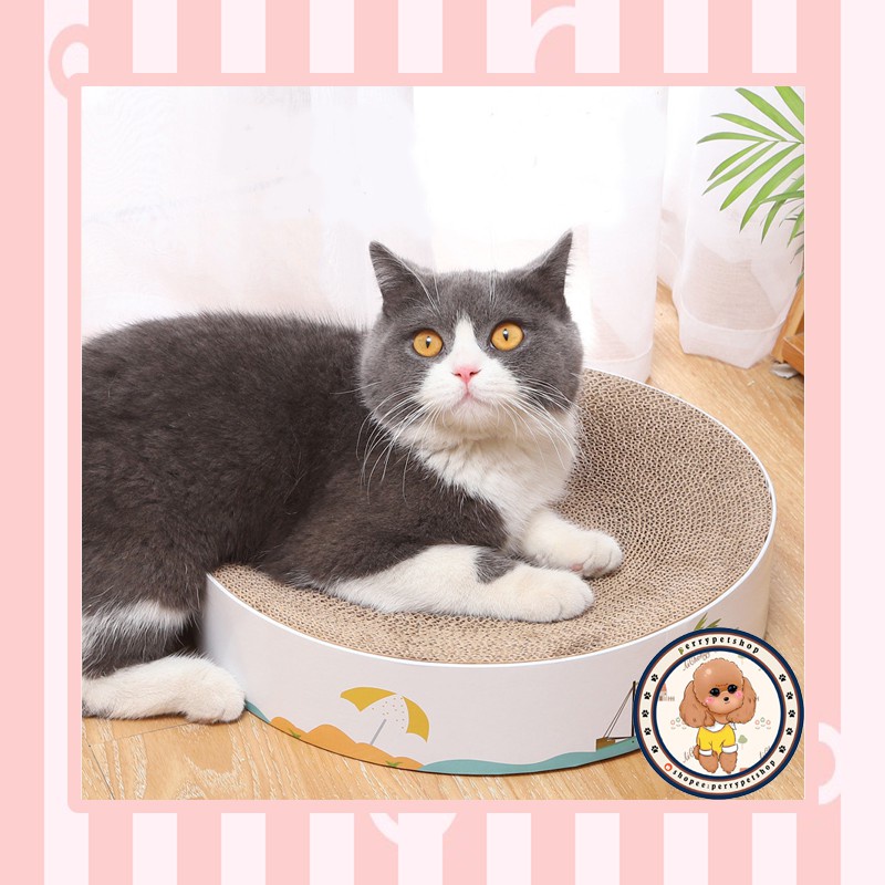 Cat Scratcher Box Cakar Model Bulat Untuk Kucing